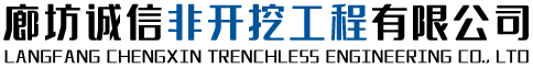 瑞迪斯新能源科技有限公司